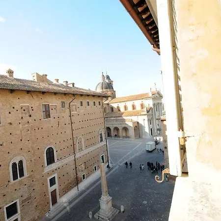 Domus Urbino